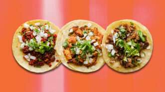 Street tacos on an orange background | Photo 187175673 © Joshua Resnick | Dreamstime.com