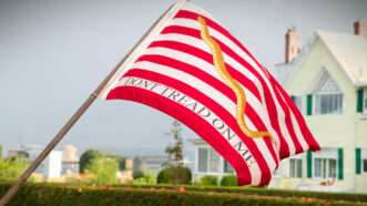 An atypical "Don't Tread on Me" flag waves in the wind. | Photo: harryalverson/Flickr/Creative Commons; edited by John Osterhoudt